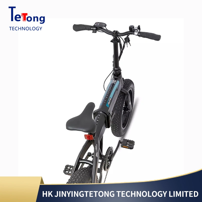 Folding Electric Bike 20 Inch Ultra Light Hidden Battery Assisted Electric Bike