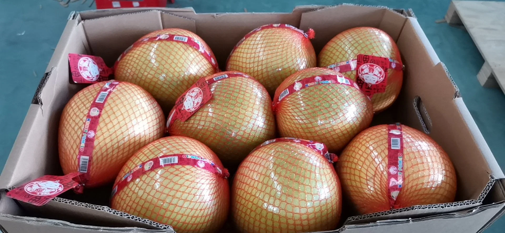 Wholesale/Supplier Chinese Sweet Honey Pomelo Natural White