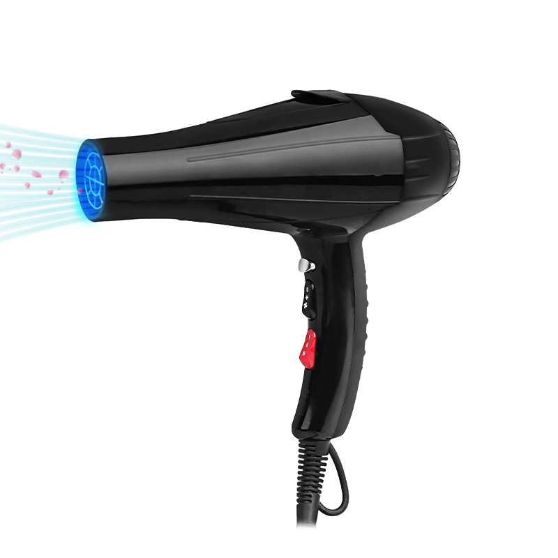 Customized Professional High-Power Hair Dryer for Salon