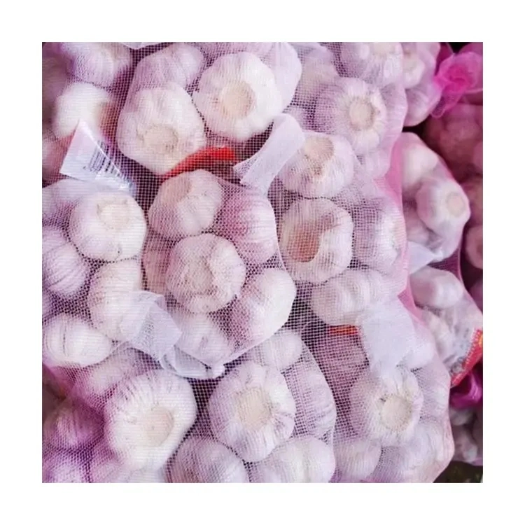 Fresh Garlic High quality/High cost performance 500g Net Bag Chinese Red Garlic Wholesale/Supplier Normal White Garlic