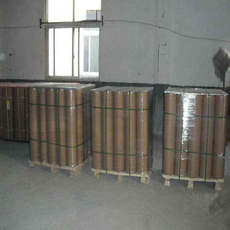 Domestic Kraft Paper Strip in Punching Coil