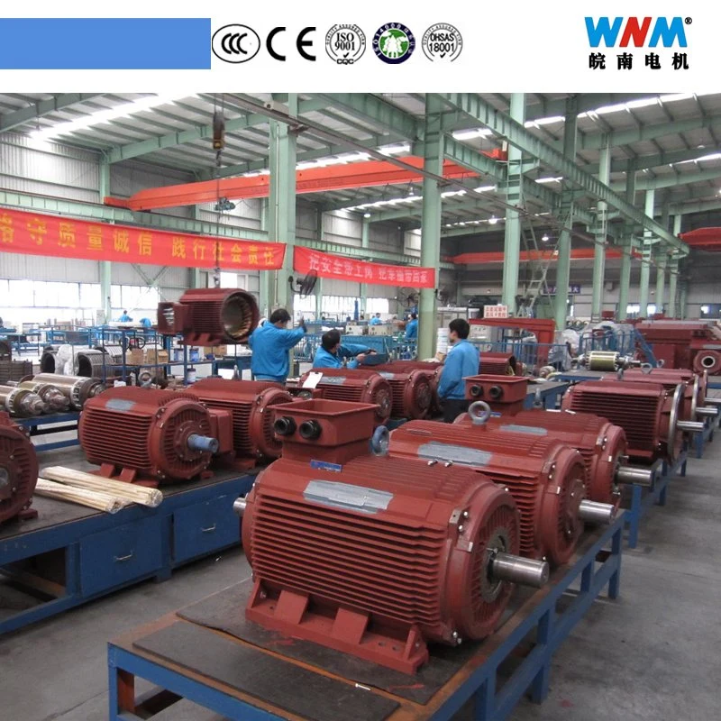 Wnm Brand High Power Premium Efficiency Ie3 / Ie4 Industrial Induction Motor 355kw Frame 355, 400, 450