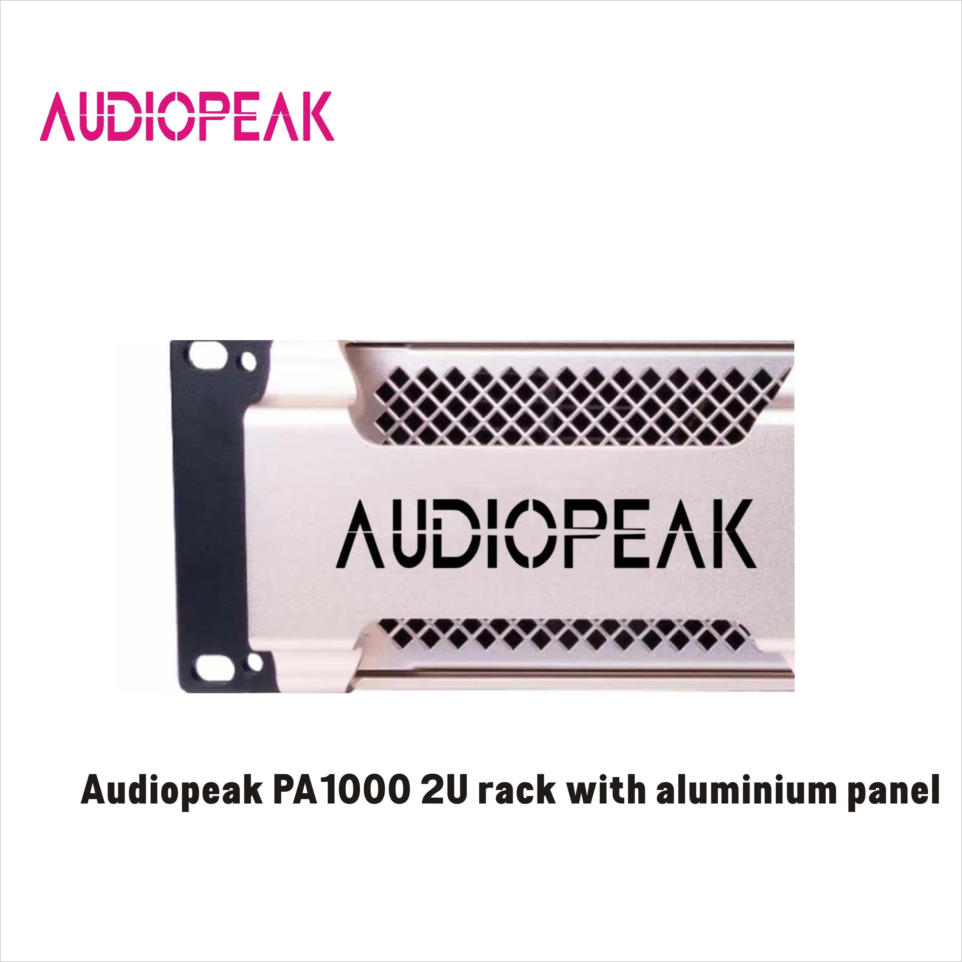 PA1000 Affortable Audiopeak amplificador de potencia de 2 canales para instalación fija