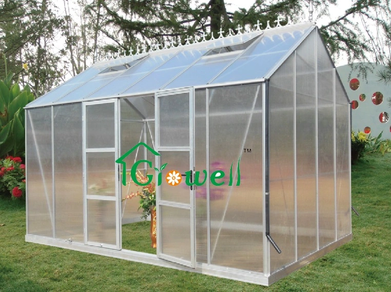 Metallic Plastic Membrane Greenhouse with Hydroponics and Automatic Irrigation System