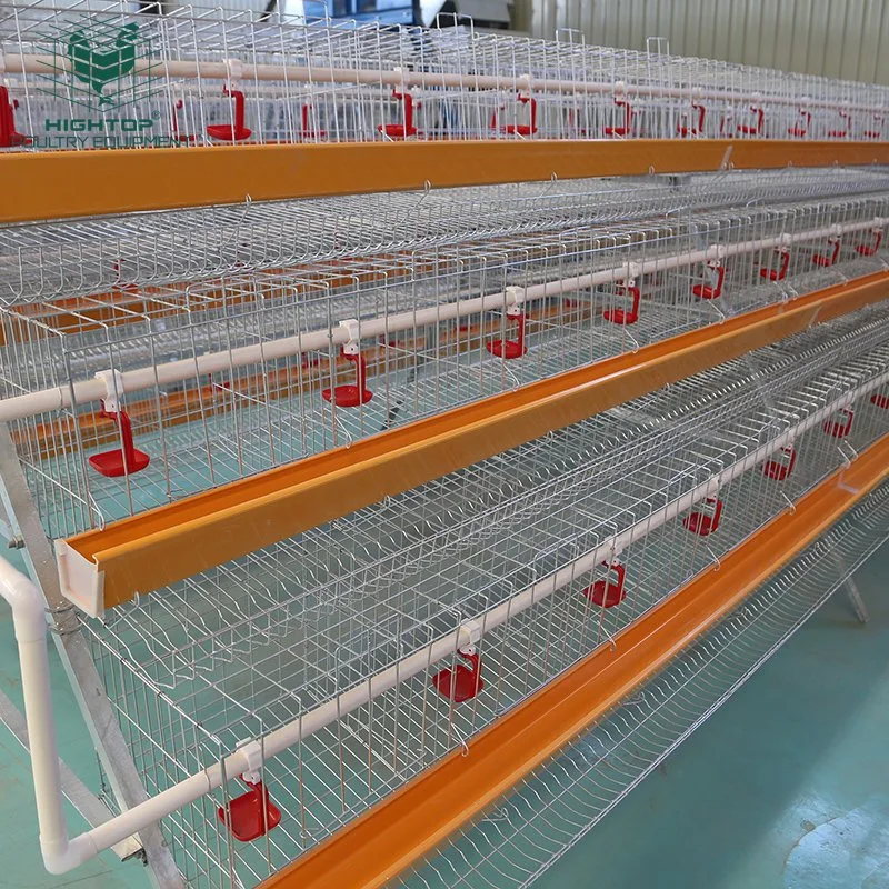 Cage à poules pondeuses en fil d'acier Q235 à trois niveaux avec abreuvoir à mamelon à vendre