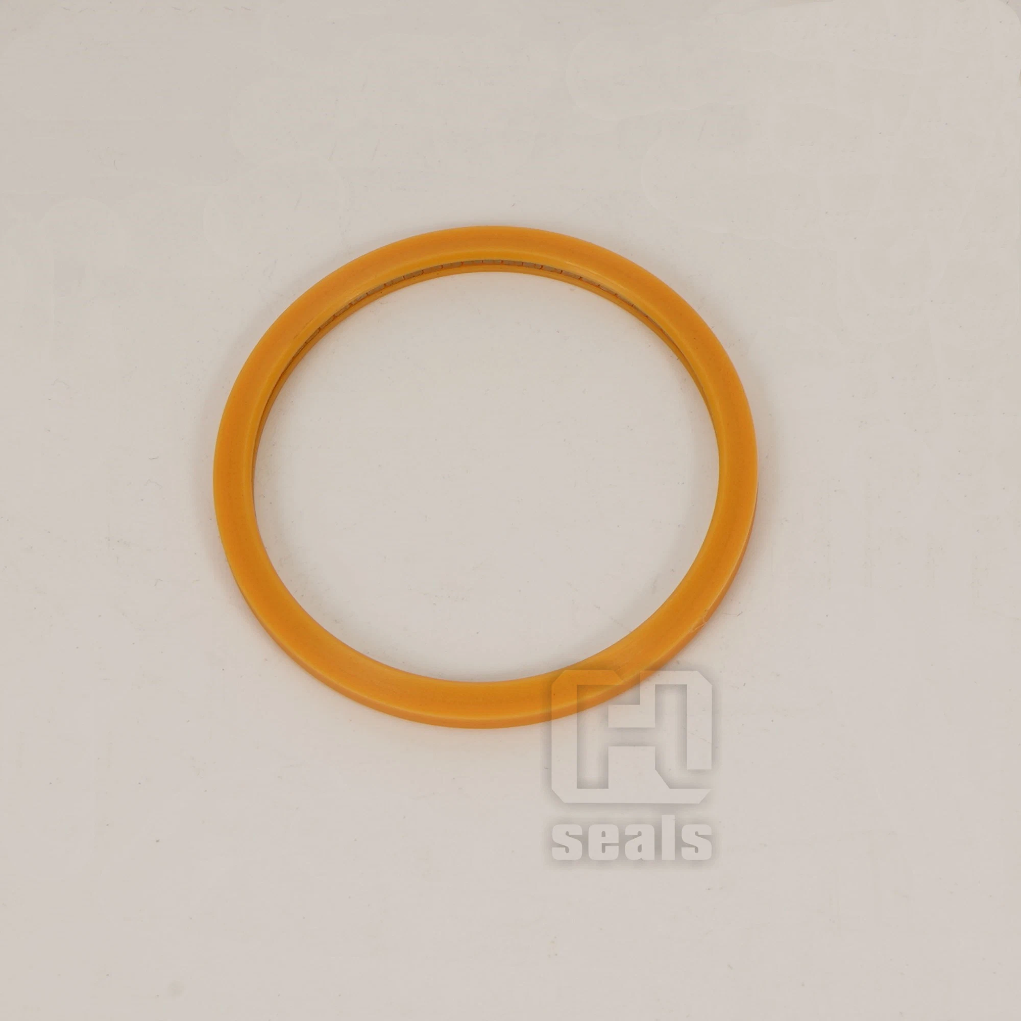 Axial Seals Single Helical Spring Lip Seals Rings Internal Pressure Seals, PTFE Spring Seals