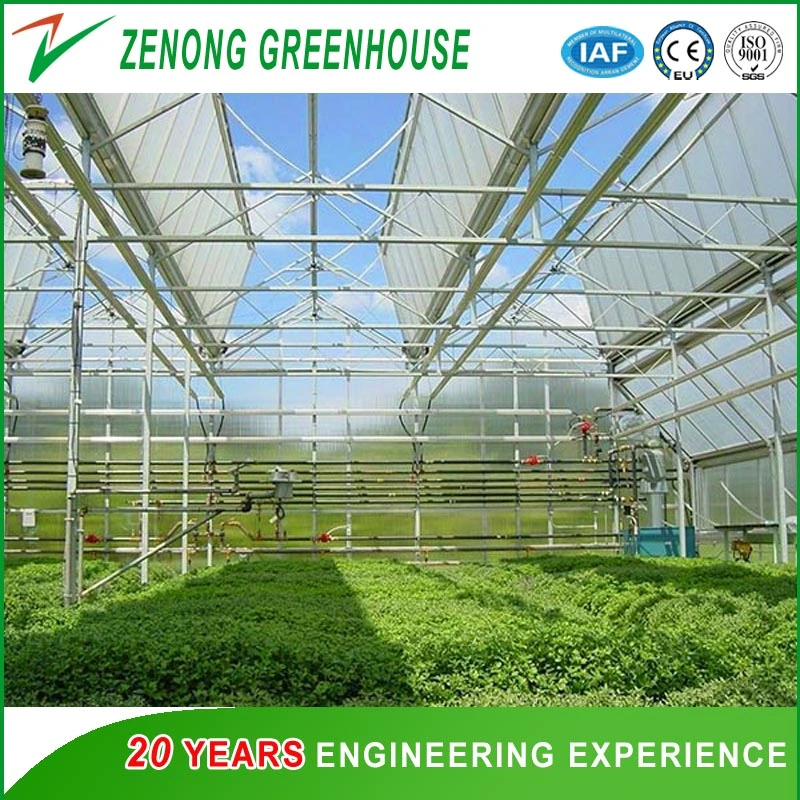 Modern Design Glass Greenhouse with Hot Galvanized Steel Framework Used for Agriculture/ Stock Farming/ Aquaculture/ Restaurant/ Scientific Research