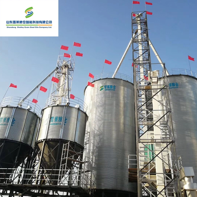 Hopper Bottom Grain Silo for Plastic Pellet Wheat Maize Paddy Rice