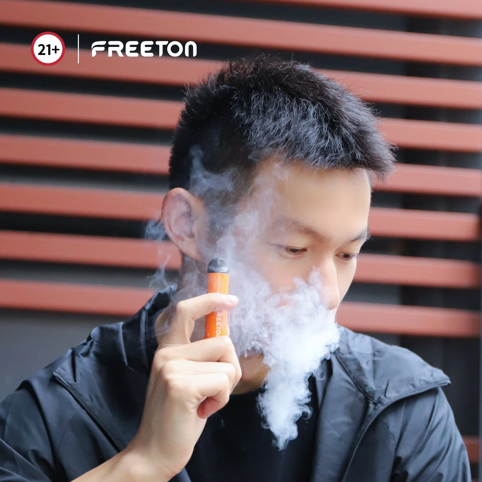 FREETON 2021 New Edition Vaping Shop Disposable Electronic Cigarette for OEM/ODM Wholesale/Supplier