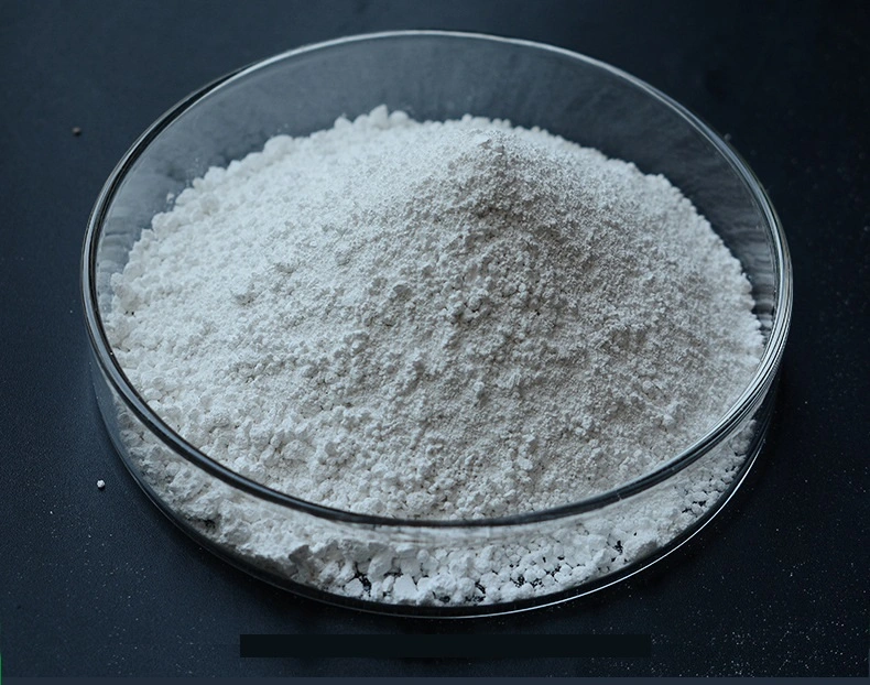 Free Samples! Titanium Dioxide/TiO2/Titanium Oxide Price/CAS No.: 13463-67-7