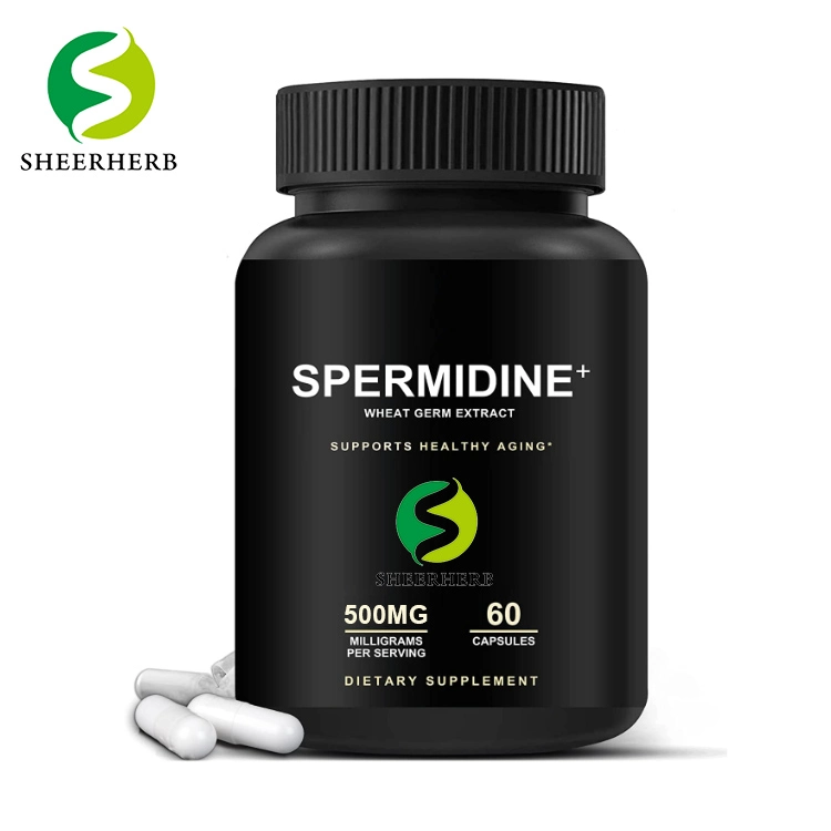 Поддерживает здоровое старение Spermidine Sheerherb Дополнение 1% Spermidine капсулы