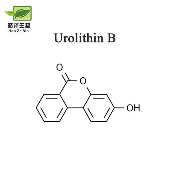 High Purity Fat Burning Powder Jbsnf-000088 CAS 7150-23-4 with Low MOQ