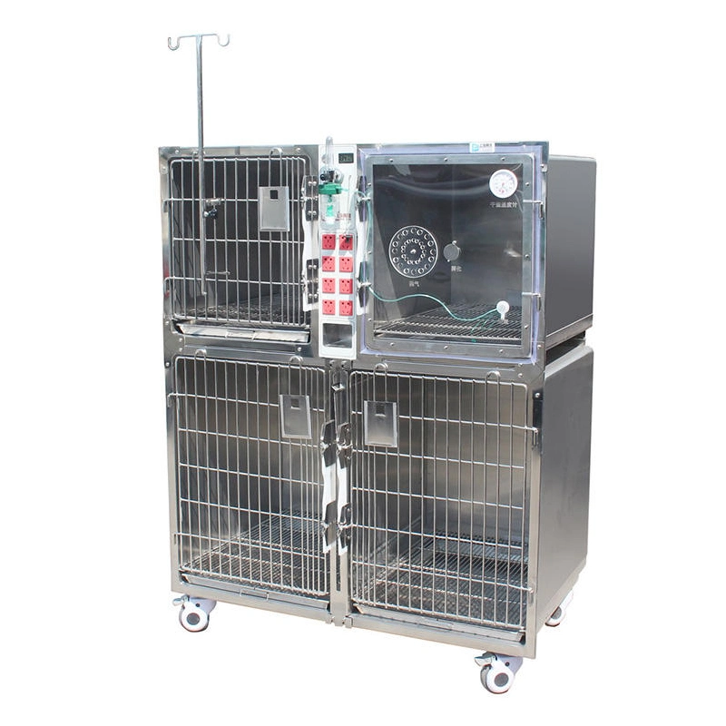 OEM Custom Veterinary Modular Pet Dog caixa grande Banco inoxidável Gaiolas de aço