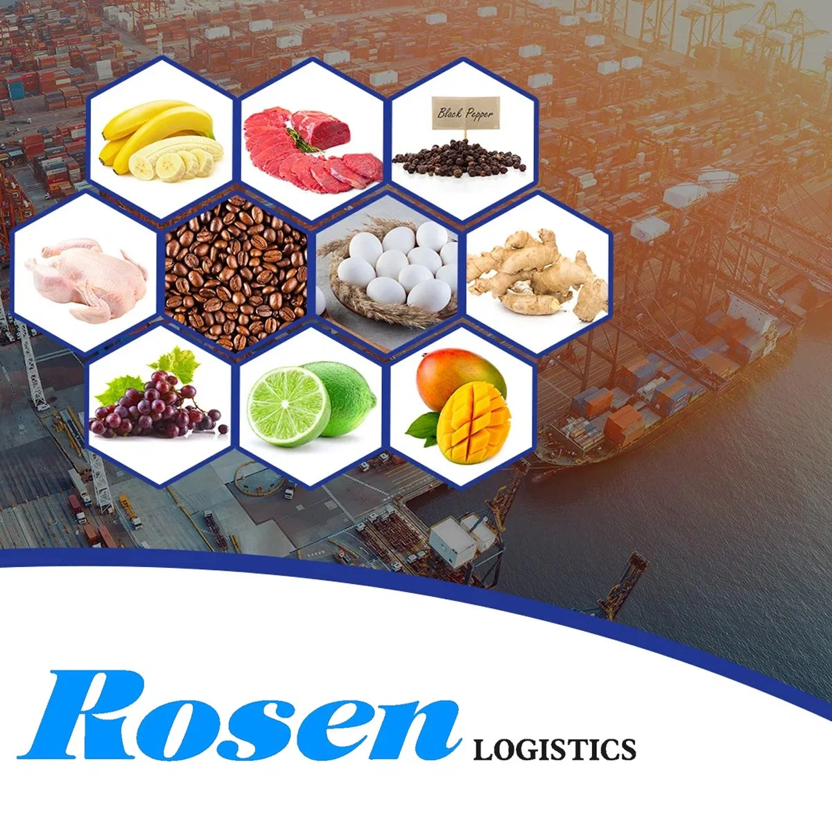 Frozen Meat Export Import Seafood Sea Shipping Live Food Shrimp to Malaysia