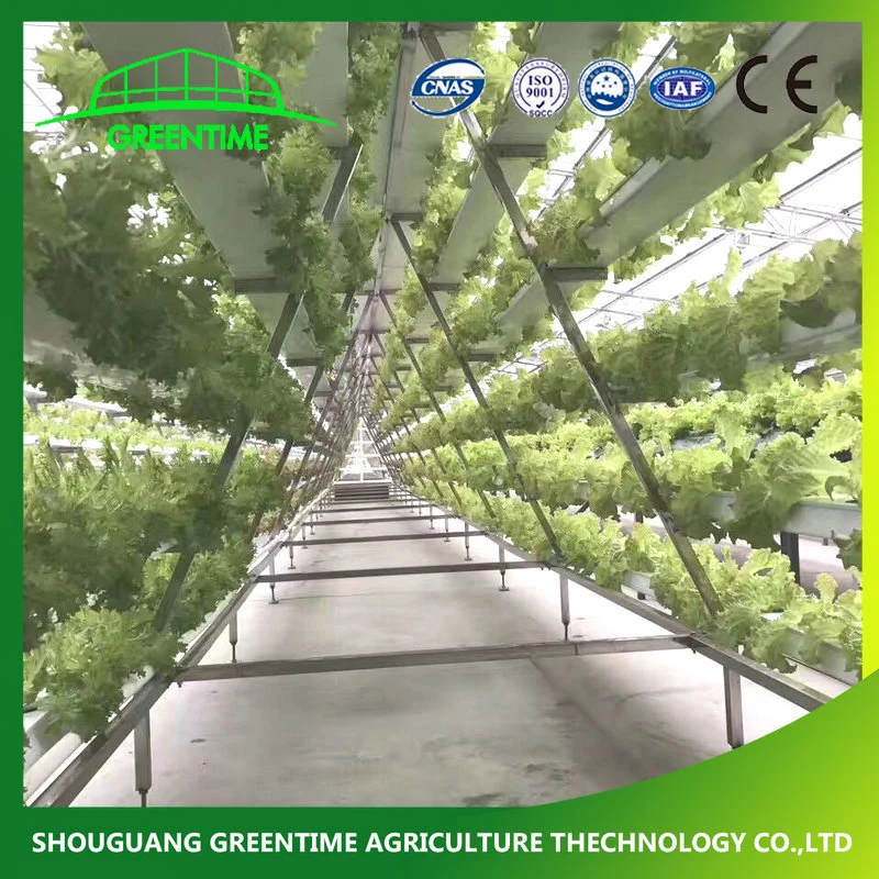 Landwirtschaftliche Hydroponics System PVC NFT Kanal Rohr Vertikal A Typ Salat Blatt Gemüse Anbauen