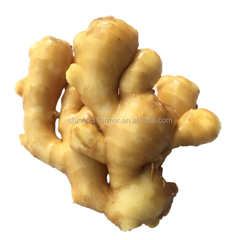 Good Quality Wholesale/Supplier Ginger Price Air Dry Ginger