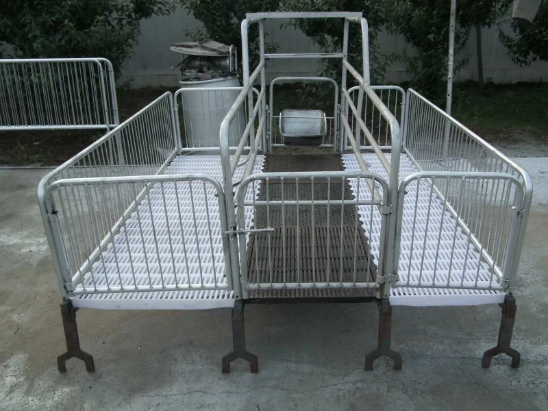 European-Style Sow Cage Farrowing Crates Pig Breeding and Nursing Crates with Feeders