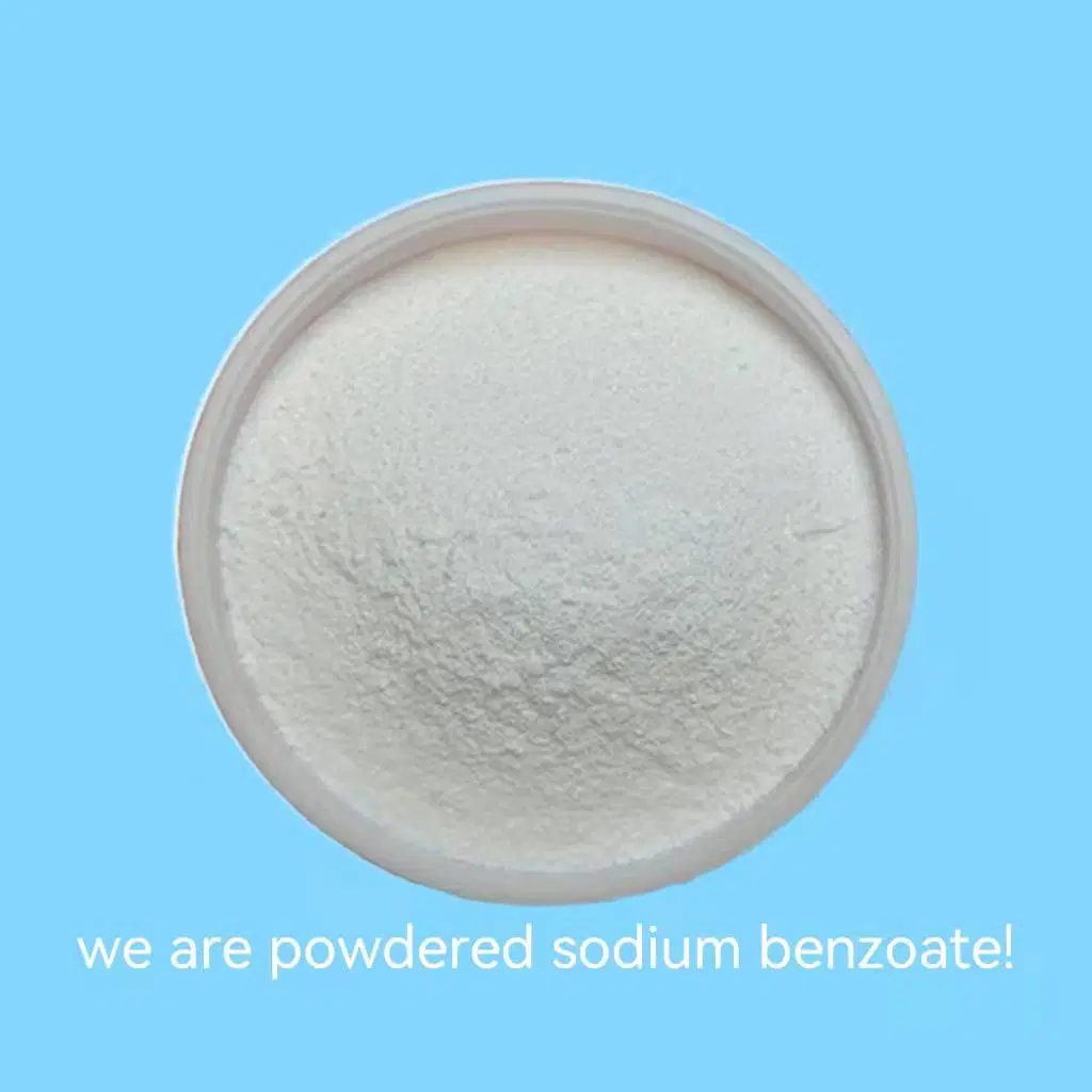 Benzoate De Sodium Factory Supply White Powder Sodium Benzoate