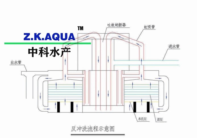 Moving Bed Filter High Efficiency 15~250m3/H Water Treatment Equipment with Ras