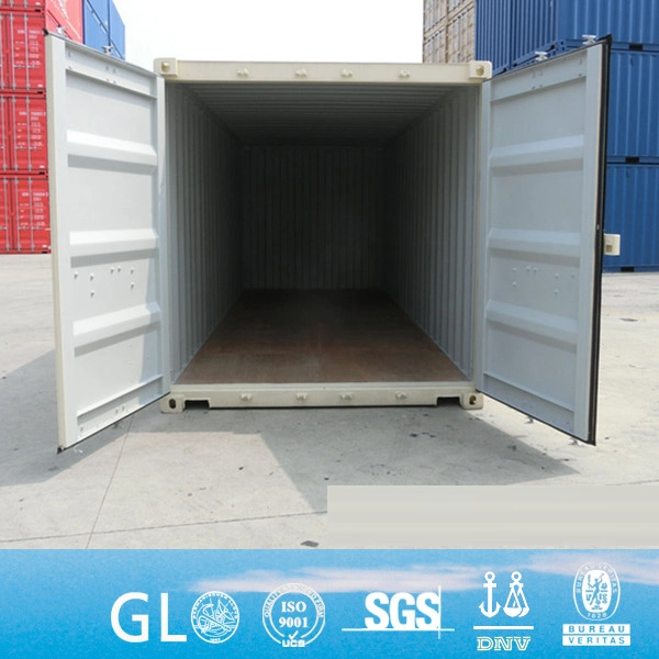 China Manufacturer 20gp 20DC 40hc Store Design Shipping Container for Sale