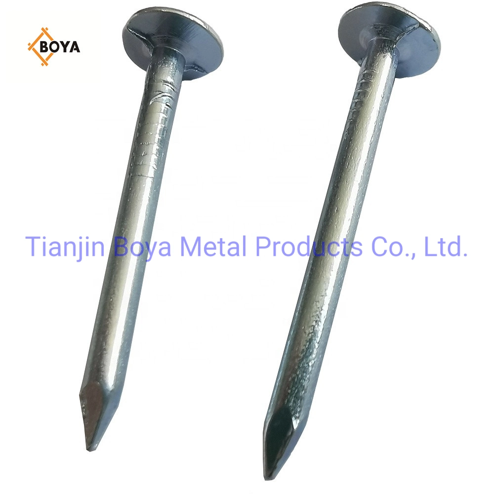 China Galvanized Large Head Clout Nails /Big Head Nail/Roofing Nail