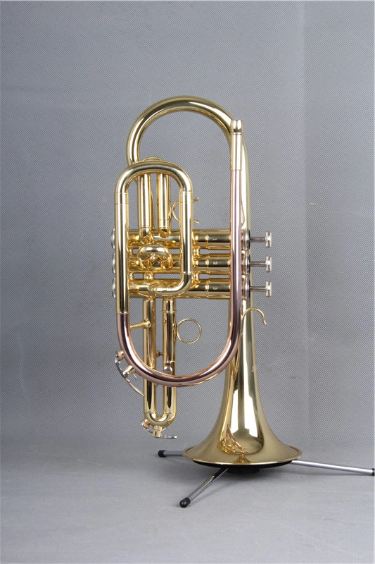 Cornet/ populares Cornet/ Básico Cornet (OC-255AL)