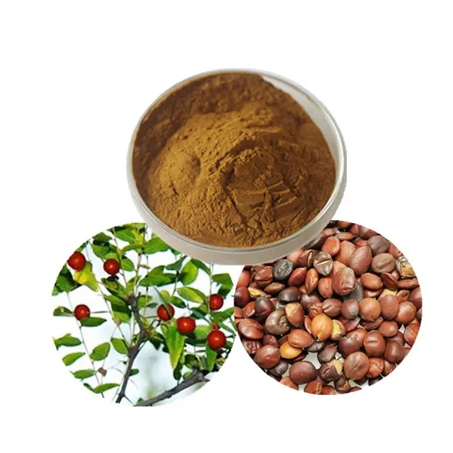 Improve Sleeping Plant Extracts Red Jujube Seed Extract/Spine Date Seed Extract