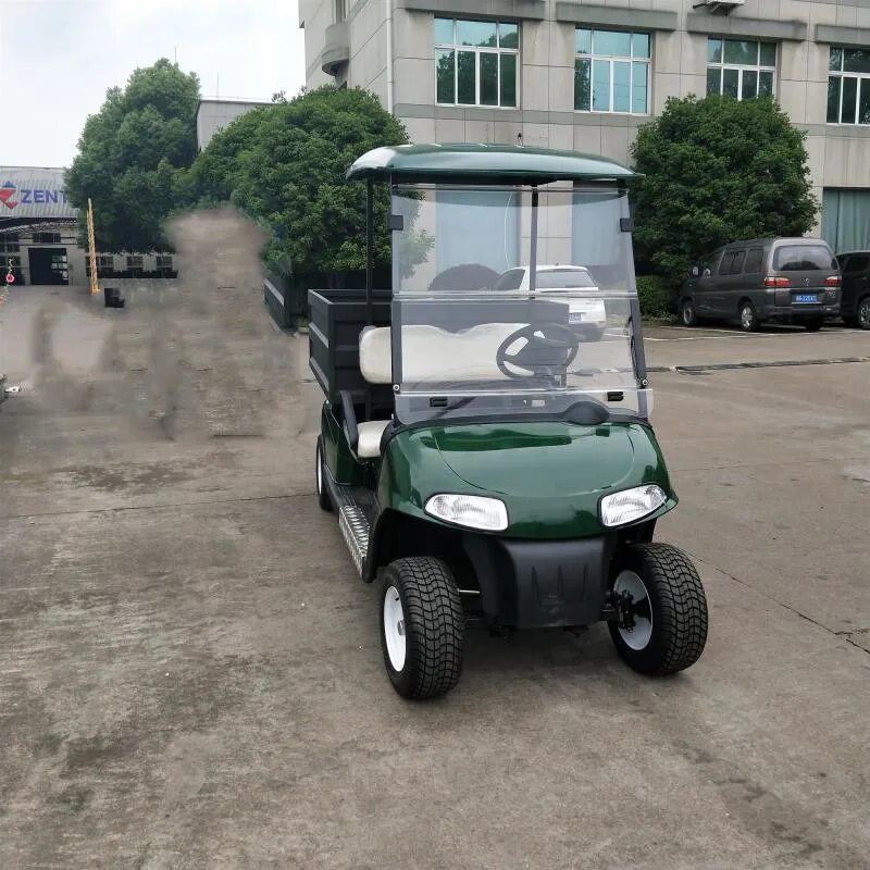 Carrito de Golf White Electric con certificado CE Scenic Park Hotel Coche turístico del hospital escolar