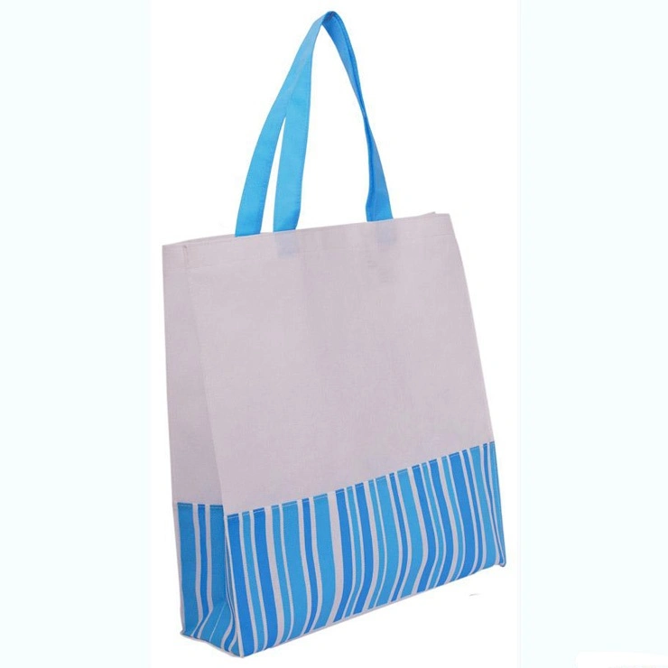 PP Laminated Non-Woven Shopping Bags for Promotional (FLN-9039)