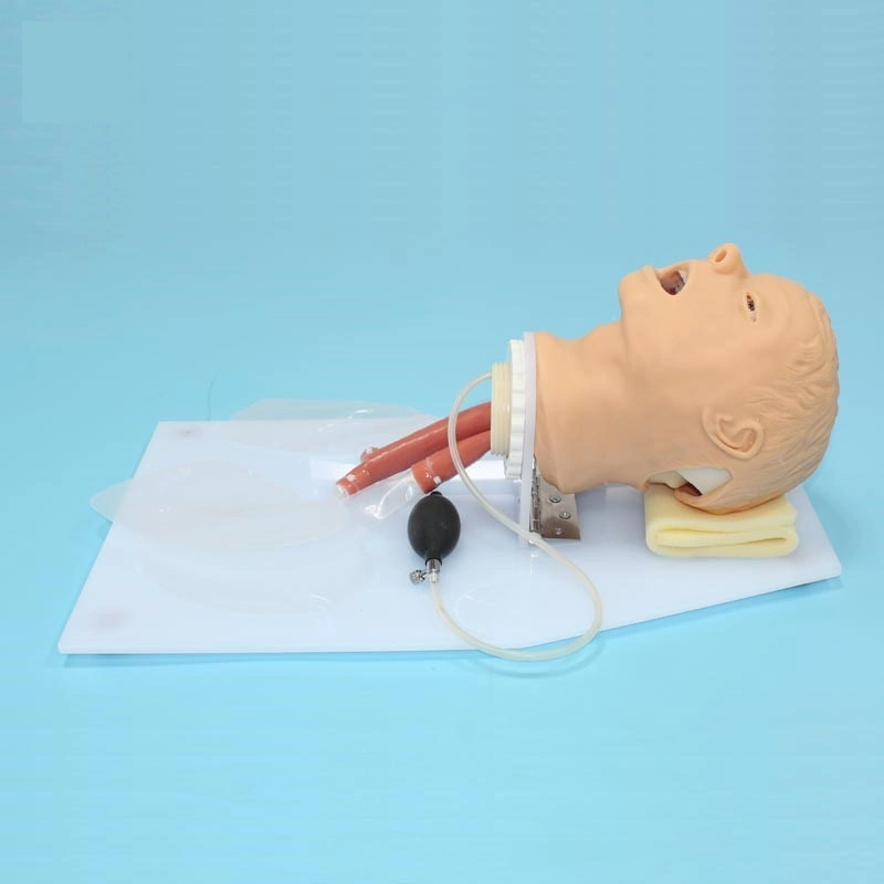 Medical Science Human Airway Manikin Electronic Endotracheal Intubation Training Manikin