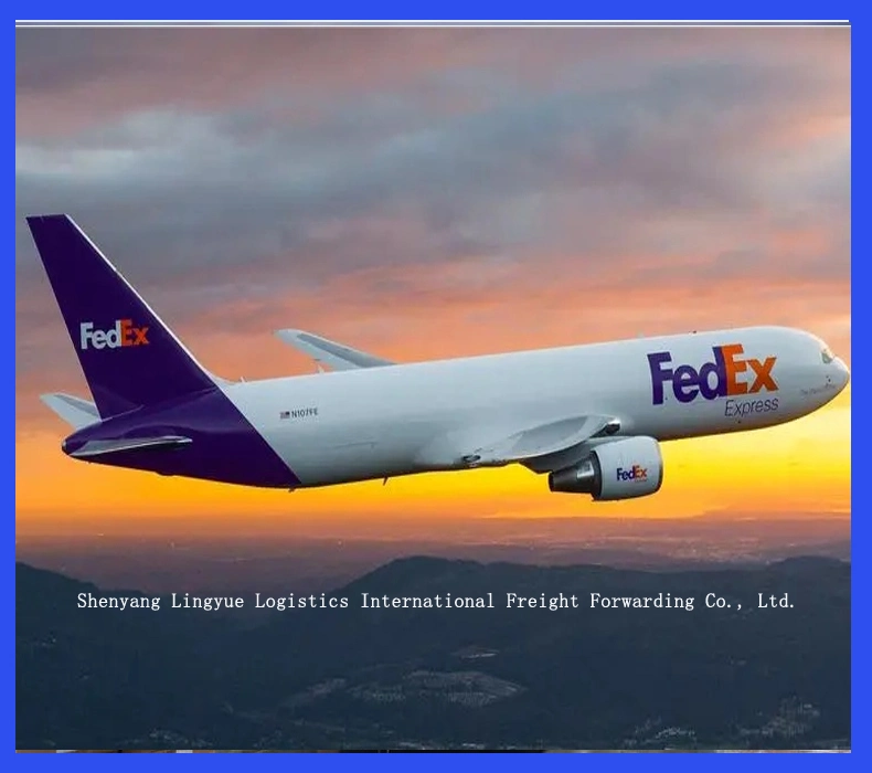 Servicios rápidos de Logística UPS FedEx de China Shenyang a. Francia