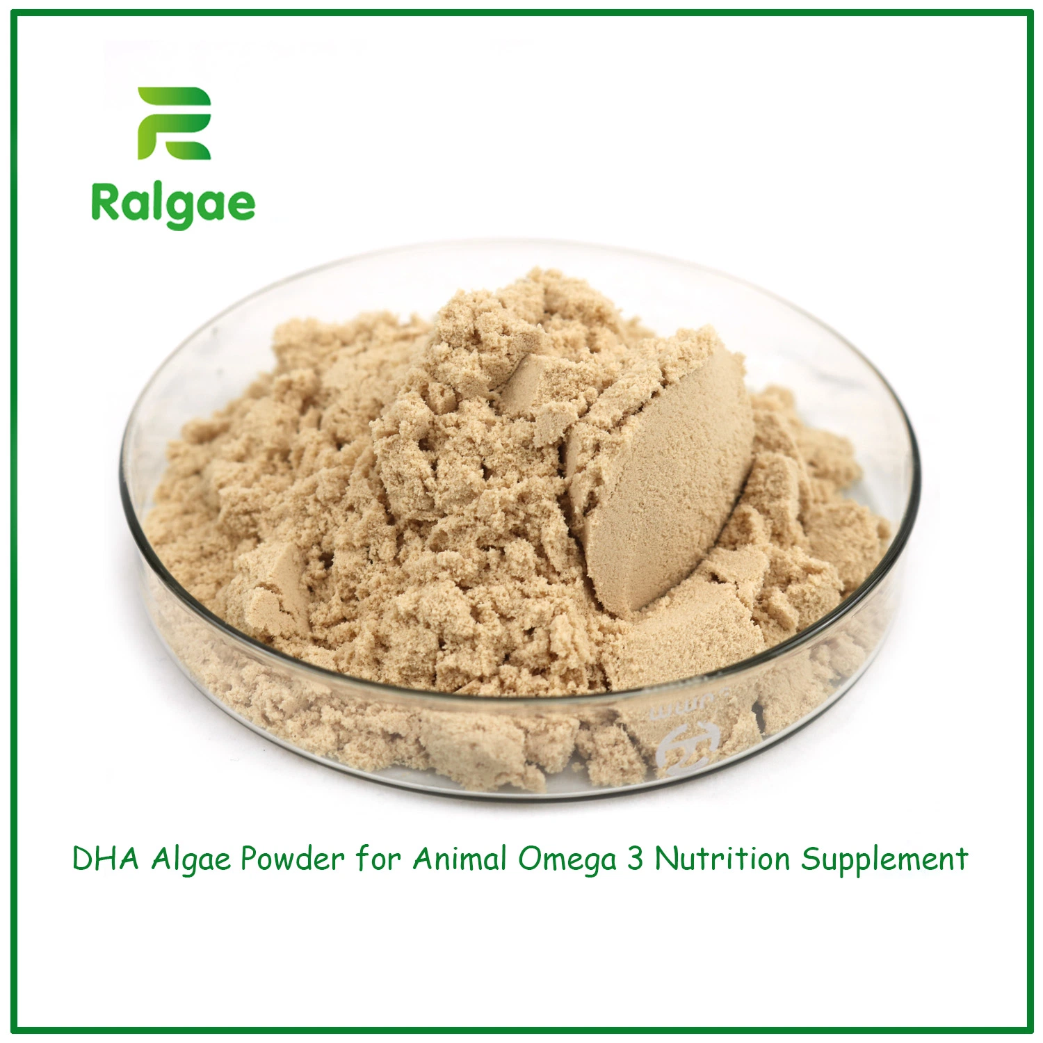 Natural Schizochytrium DHA Algae Powder High DHA 18% for Pet Feed Additive