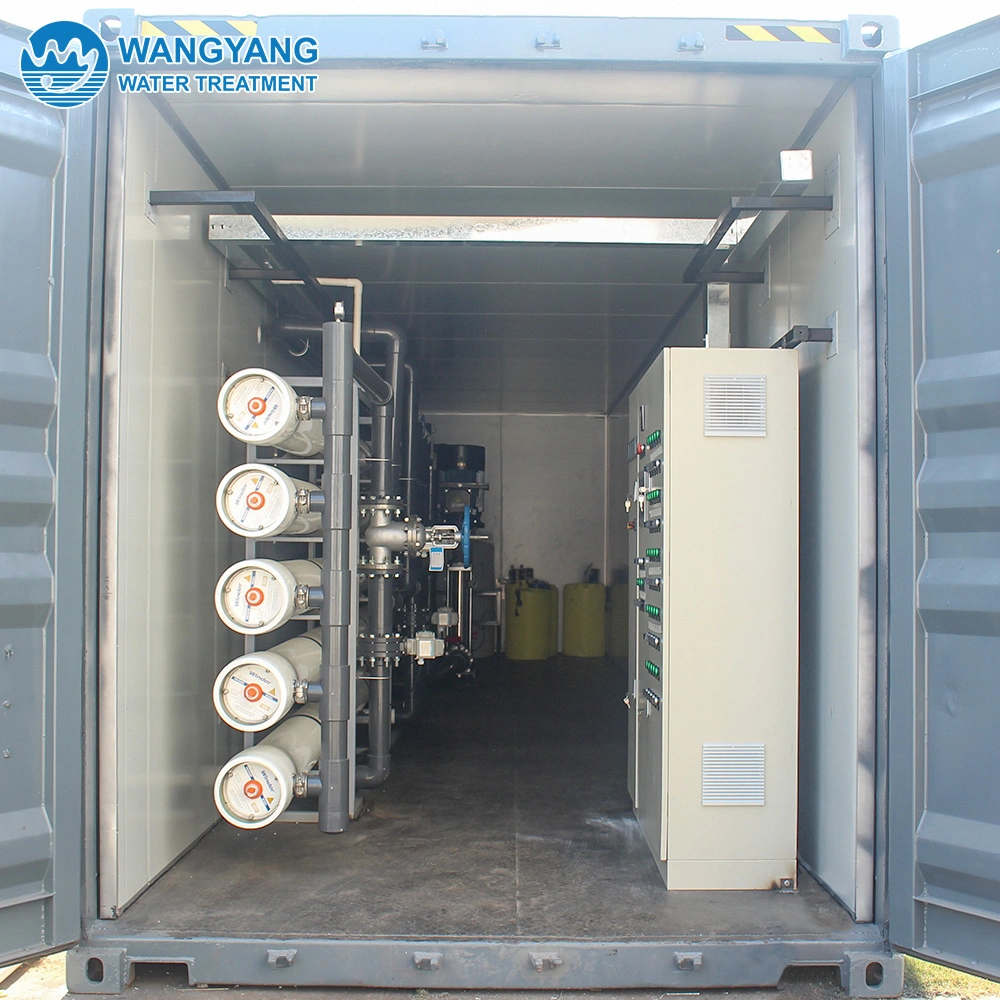 Malaysia 720 Cubic Meter Per Day Pure Water Desalination Equipment for Iron Removal