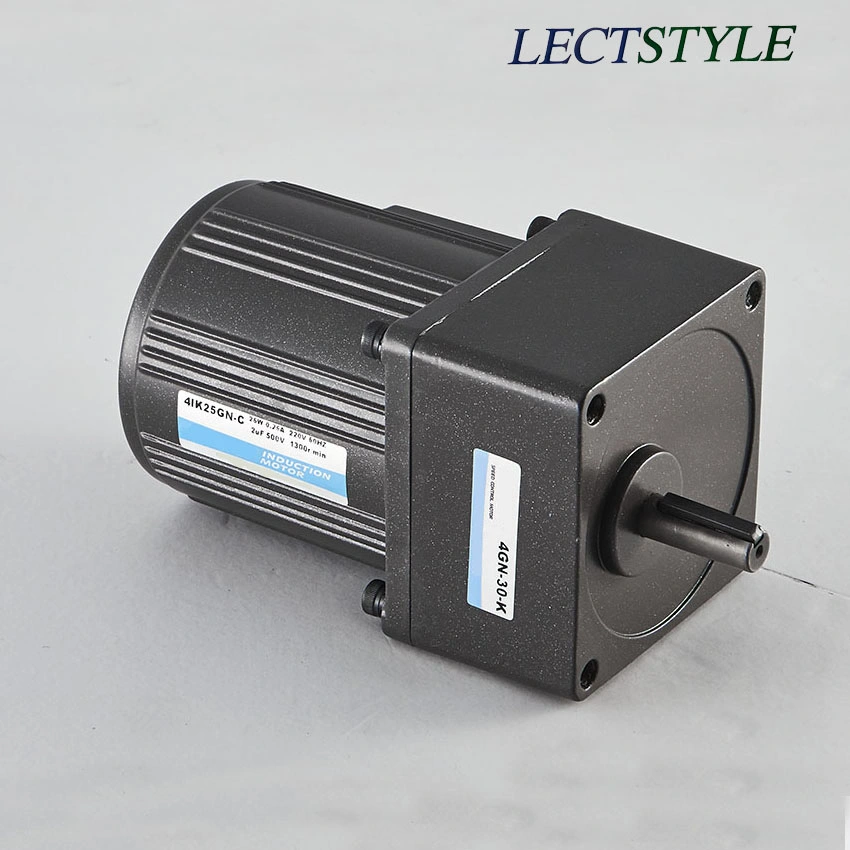 AC Electric Single Phase Induction Gear Motor