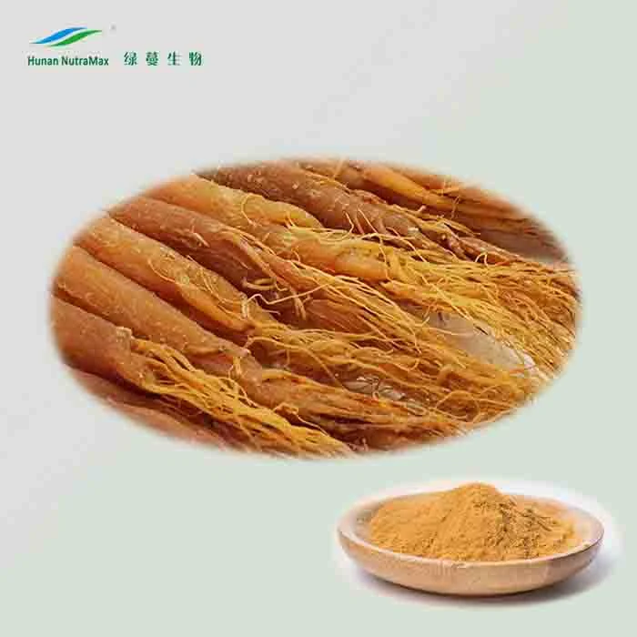 Extrato de Ginseng vermelho da Coreia pura com Ginsenosides 10%