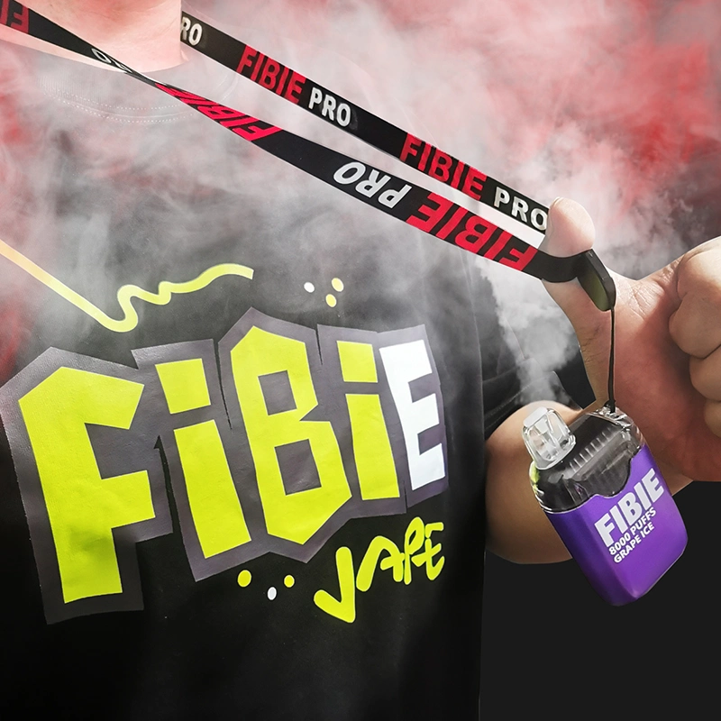 Fibie Shenzhen jetable électronique cigarette 8K puffs Disposale Vape E Cigarette fruit saveur Bang Vapes J'ai 8000puffs Vape Pen Vente en gros