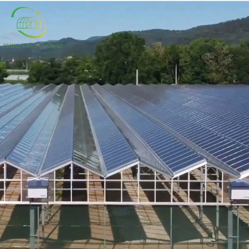 Casa Verde Agrícola Multi-Span invernadero de policarbonato con sistema de plantación hidropónico Para Tomato