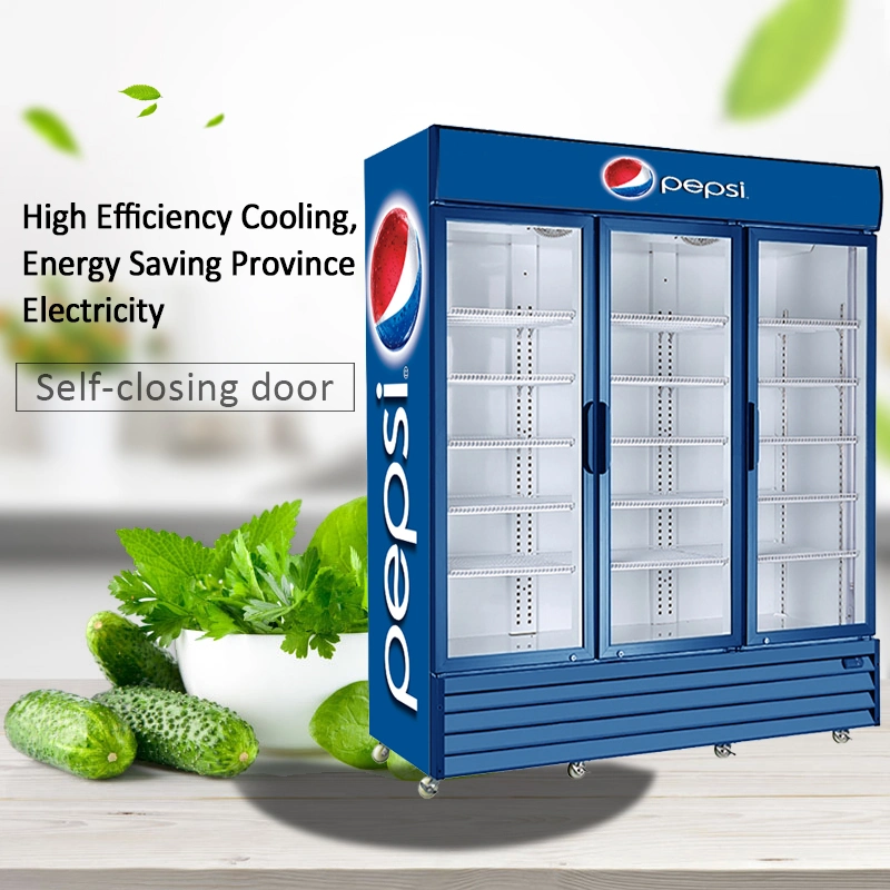 Restaurant Refrigeration Equipment Cold Drink 3 Door Commercial Display Refrigerator