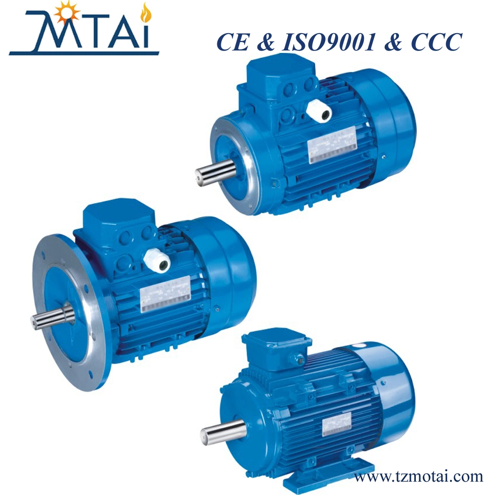 Y2 Ye2 YC Y3 Ye3 110V, 220V, 230V, 240V Gusseisen China AC drei einphasige asynchrone elektrische Induktion elektrische Moto