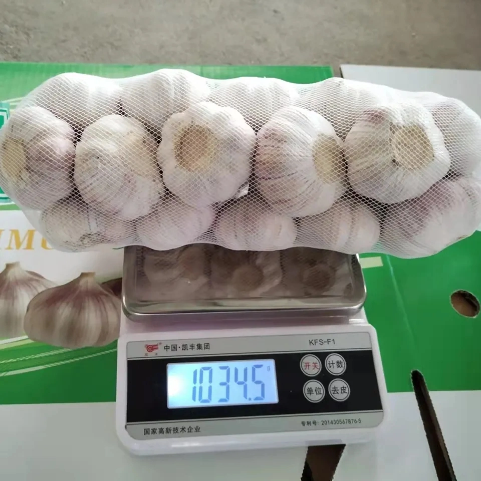 6.0cm Fresh White Garlic Supplier From China - Cold Storage, Wholesale/Supplier Price, New Crop