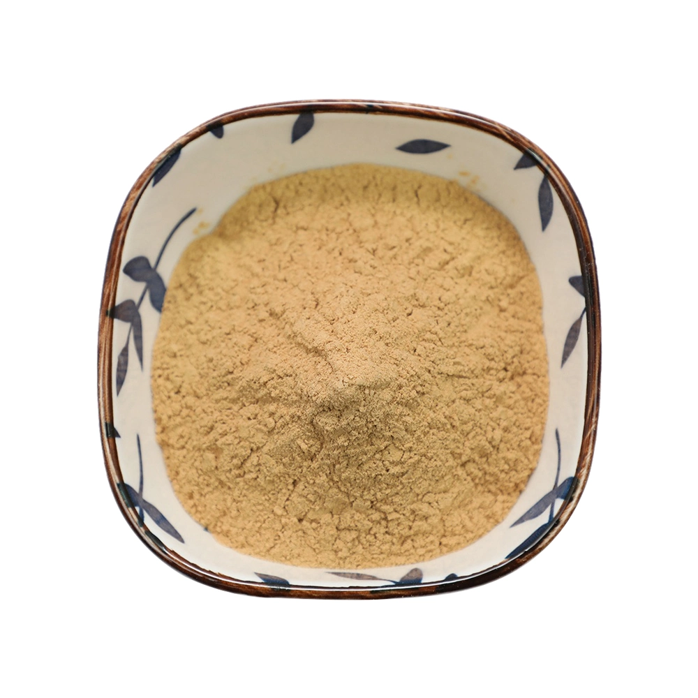 High quality/High cost performance  Astragalus Root Extract Astragalus Polysacharin Powder 50% 95%