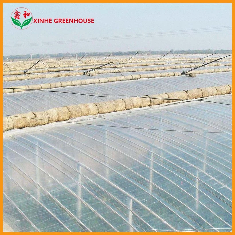 200 Micron Plastic Film Greenhouse with Shading System for Growing Vegetables