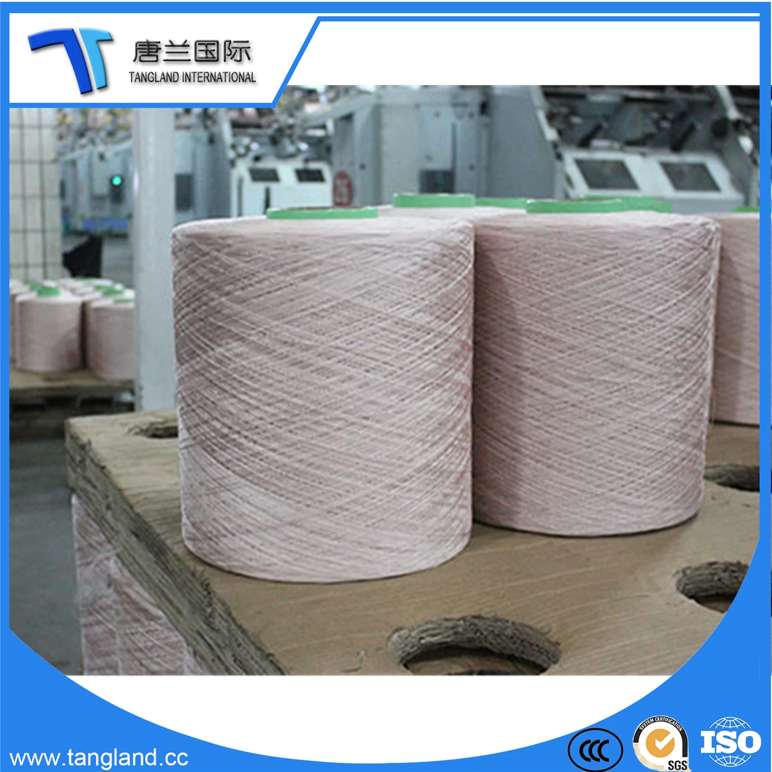 PA6 Nylon6 Industrial Ropes/Fishing Nets/Webbing/Shoelace Fabric Thread Yarn