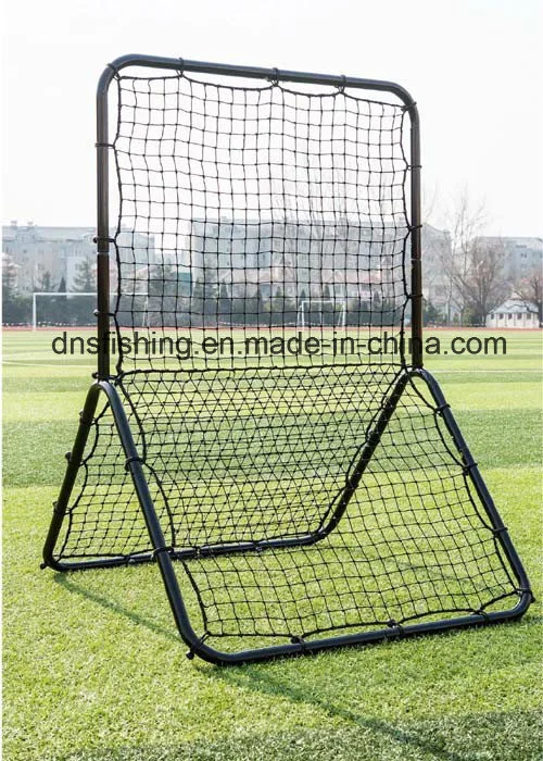 PRO Pitchback Net and Frame