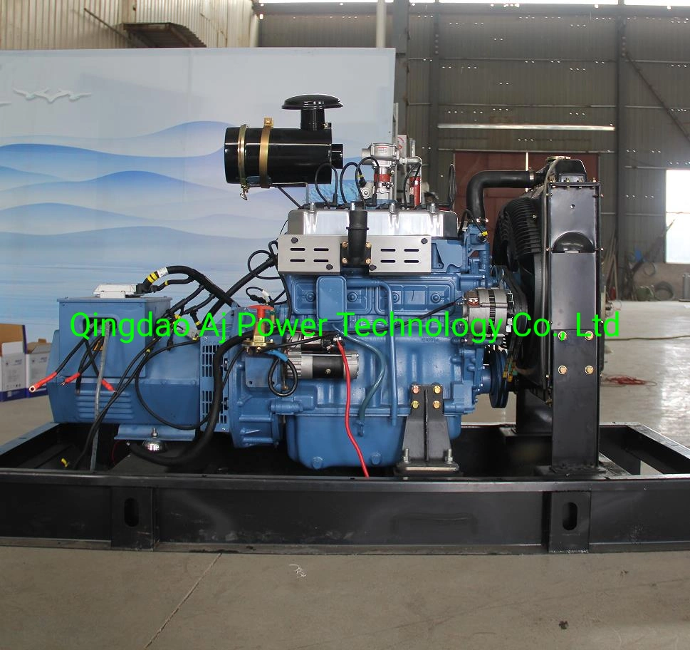 Conjunto de geradores Ricardo Biogas de 28 kW e 35 kVA fabricado na China