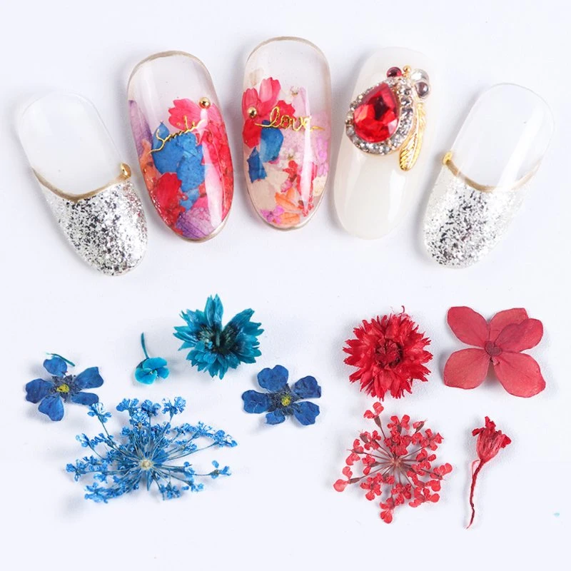 Manicure Dried Flower Nail Dehydration Lace Dry Flower Immortal 3D Solid Flower