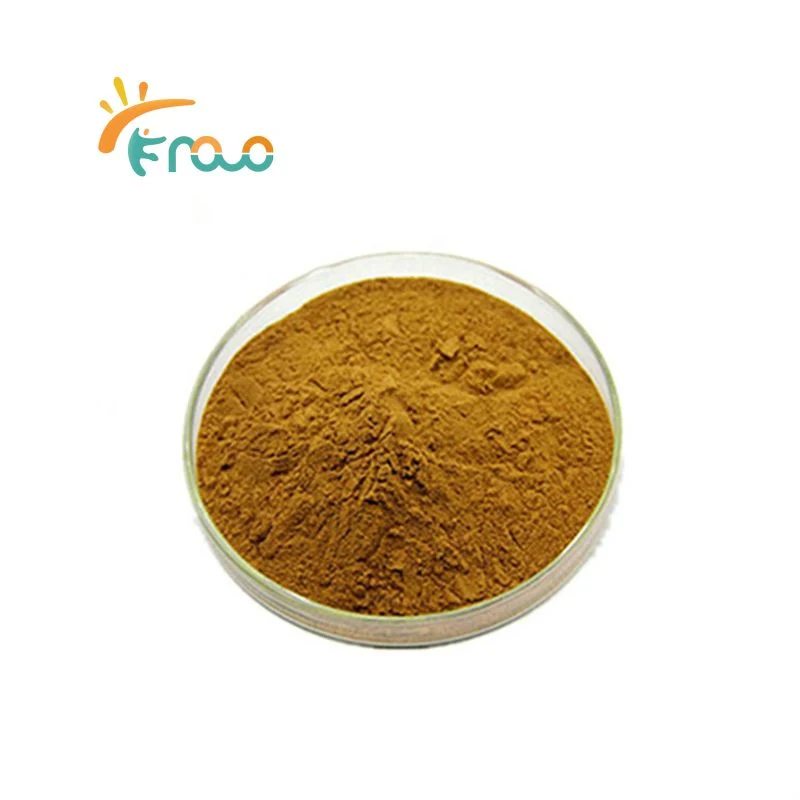 100% Herbal Extract Organic Polyporus Umbellatus Extract