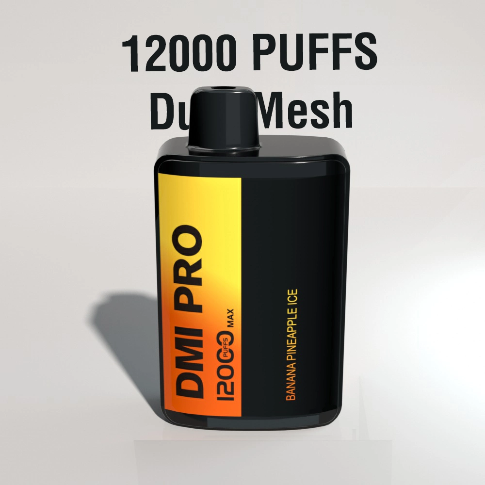 12000 Puffs VAPE desechable con pantalla Smart Display malla doble Precio de fábrica de bobinas