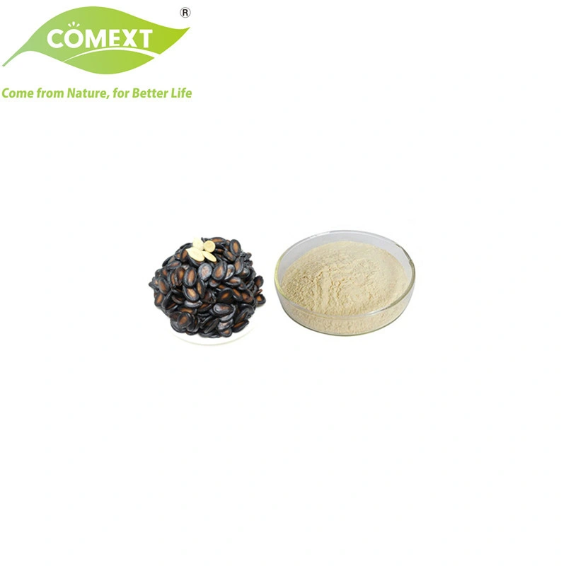 Comext Halal Kosher Supply High quality/High cost performance  Lower Blood Pressure Watermelon Seed Protein Powder