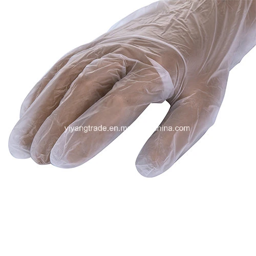 Factory for Disposable PVC Gloves for Food and Dental and Electronics